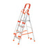 Aqua Ladder 5 With Hand Railing & 5 Anti Slip Shoes